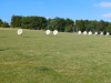 Abby_vs_RHAC_17-08-25_1