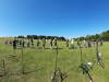 Abby_vs_RHAC_17-08-25_30